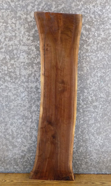 Black Walnut Live Edge Rustic Entry/End/Side Table Top Slab 1747